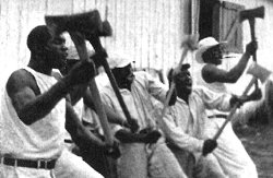 Photo of five prisoners chopping wood, axes raised.