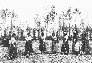 Photo of a group of women rice workers