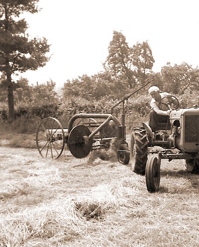 Bill, hay turning, driving the old Allis-Chalmers, c.1965.